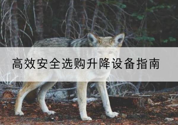 工农升降货梯厂家推荐-*安全选购升降设备指南
