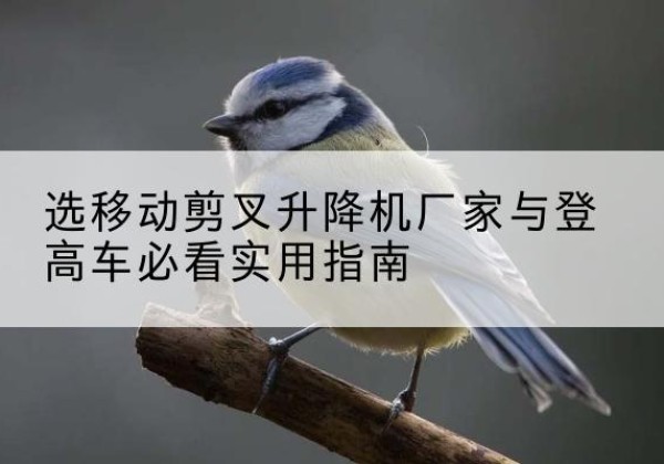 工农电动升降机厂家-选移动剪叉升降机厂家与登高车必看实用指南