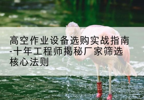 工农剪叉式升降机厂家-高空作业设备选购实战指南-十年工程师揭秘厂家筛选核心法则